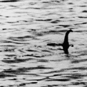 Loch Ness Monster 2023: Volunteers wanted for biggest ‘monster hunt’ in 50 years - how to apply