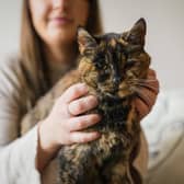 Flossie, pictured here with new owner Vicki, has been named the world’s oldest cat by the Guiness Book of World Records.