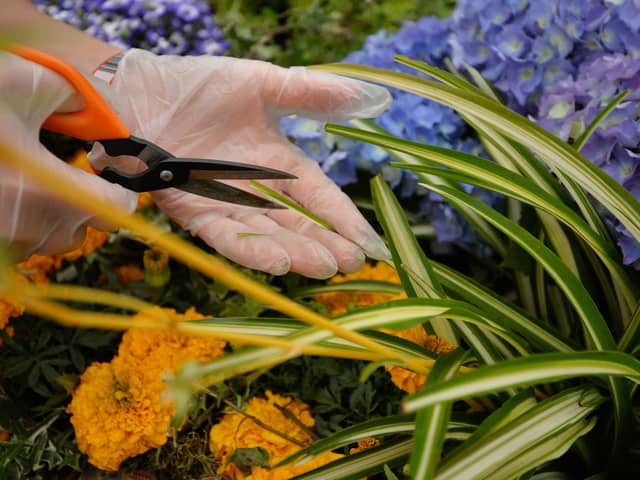 Keep these rules and regulations in mind before heading out into your garden.