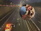 A lost dog has been reunited with his owner - after she caused the motorway to temporarily shut down 8 TIMES!!!