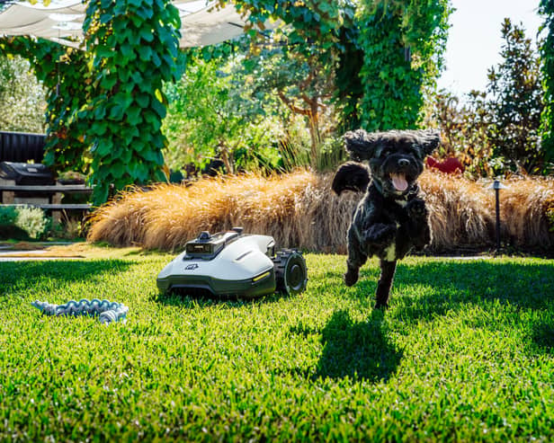 Mammotion's new Yuka 2 Mini is a great garden companion - thanks to some clever guidance tech