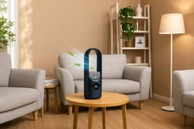 The compact Obero fan combines six airflow settings with a 100ml humidifier and LED controls