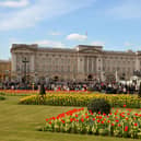 The Original Tour takes in Buckingham Palace 