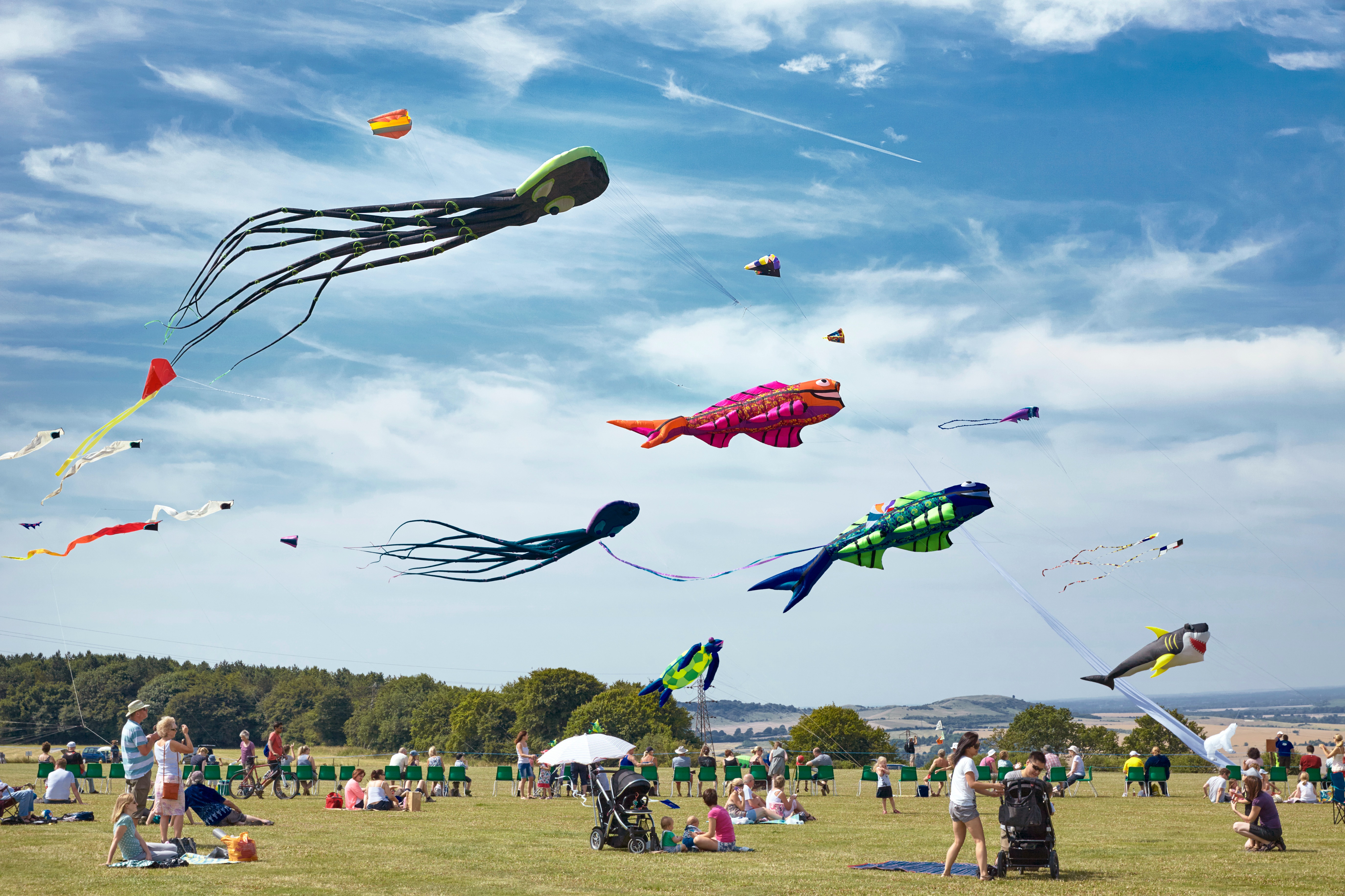 Dunstable Kite Festival returns to Dunstable Downs this weekend