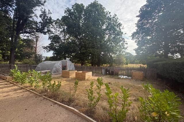 Wellbeing Garden