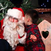Stockwood Discovery Centre to be transformed into Santa's magical workshop this Christmas
