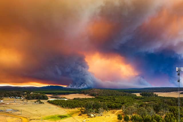 Smoke plumes emerge from an out-of-control bushfire in South Western Australia. Oz-fuel identifies high-risk areas early, empowering agencies to position firefighting resources and plan land management ahead of time.