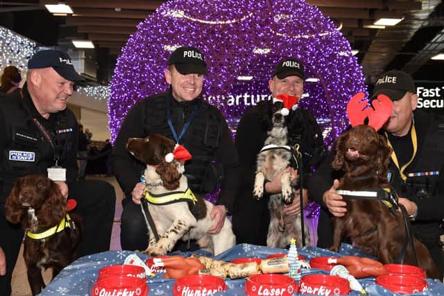 Police Dogs, Chip, Laser, Milo and Poppy at London Luton Airport Police Dog party. Photo by Jane Russell