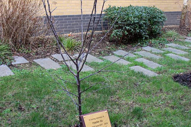 An apple tree has been planted at Luton Sixth Form College