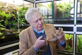 Sir David Attenborough at the Launch of Amphibian Arks Year of the Frog campaign (C) ZSL