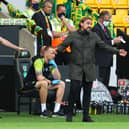 Norwich boss Daniel Farke