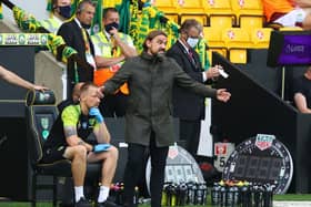 Norwich boss Daniel Farke
