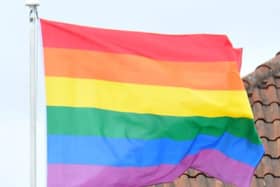 Pride flag      (stock image)