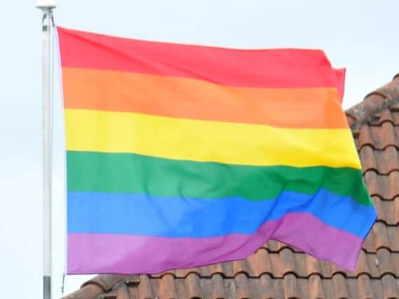 Pride flag      (stock image)