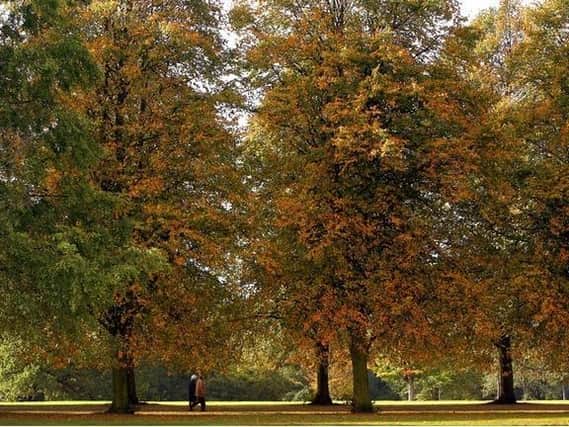 Some Luton neighbourhoods have poor access to green spaces, study claims