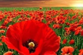 Luton Council urges residents to watch Remembrance Sunday service online