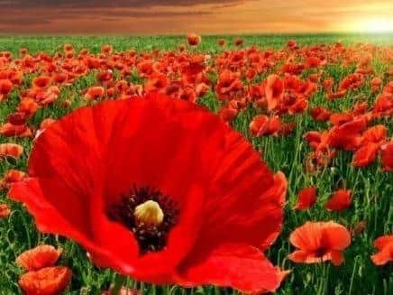 Luton Council urges residents to watch Remembrance Sunday service online