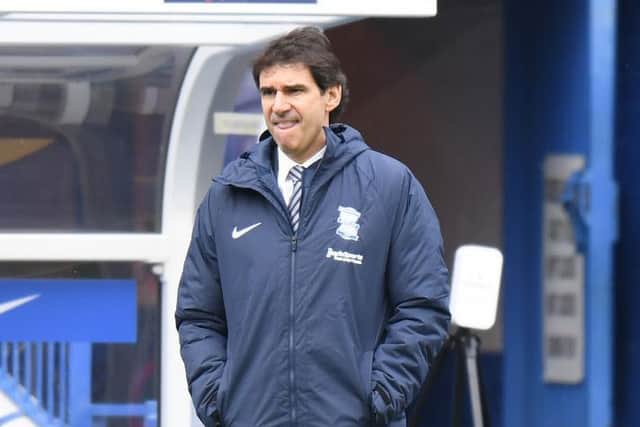 Birmingham City boss Aitor Karanka