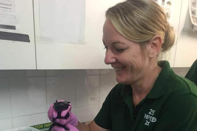 Karla Berry with the Axolotyl at ZSL Whipsnade Zoo (C) ZSL