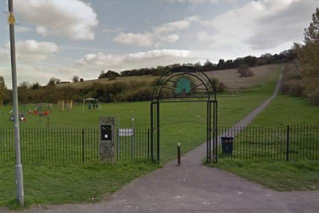 The boy was stabbed in Runley Road Recreation Park