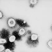 Coronavirus    (stock image)