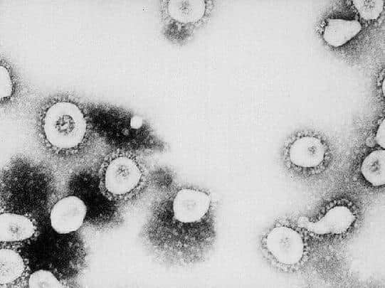 Coronavirus    (stock image)