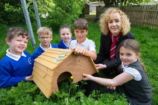 Redrow helped fund a Hedgehog House. Photo by Matthew Power Photography