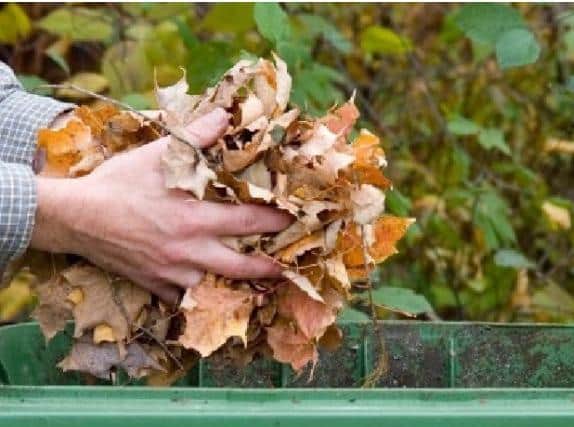 Garden waste collections will restart in Luton