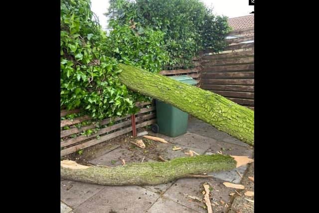The branch fell into the couple's garden