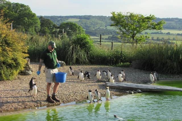 George is a bird keeper at Whipsnade Zoo (C) ZSL