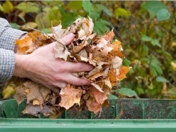 There will be a one-off collection of garden waste to help clear the backlog