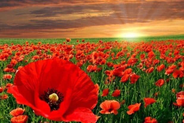 Remembrance Day will be held on Sunday in Dunstable