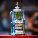Luton are in FA Cup action this weekend
