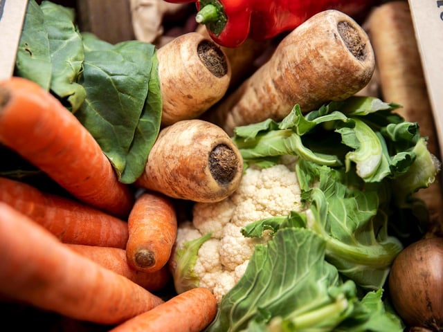 The Vegan Market at Abington Park Museum on Saturday, January 29 2022. Photo by Kirsty Edmonds.
