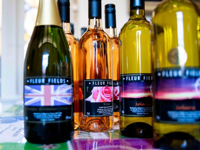 The Vegan Market at Abington Park Museum on Saturday, January 29 2022. Photo by Kirsty Edmonds.
