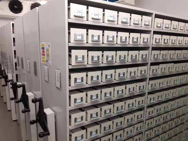Seeds being stored at -20c. Picture: Lawrence Smith.