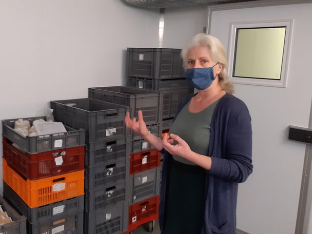 Dr Elinor Breman in one of the drying rooms. Picture: Lawrence Smith.