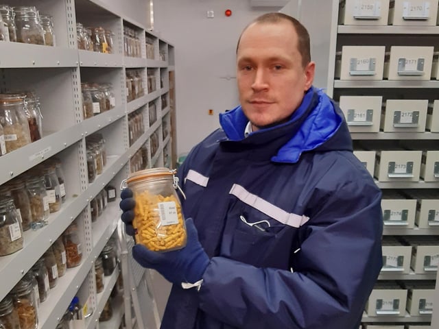 Reporter Lawrence Smith braves the -20c vault to look at the seeds.