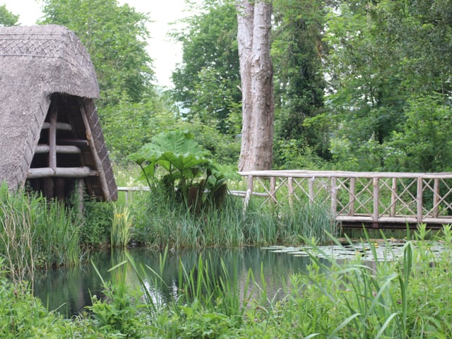 New water gardens created from original historic stew ponds