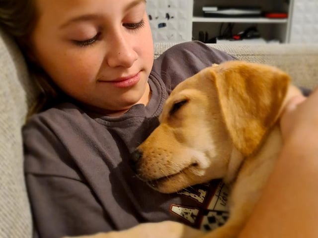 Submitted by Rachel Hallett.