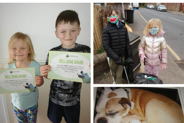 Poppy and Blake with their certificates; a day of litter picking; Lola the rescue dog.