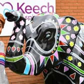 Nadiya and her elephant, Mandala Party (C) Keech Hospice Care