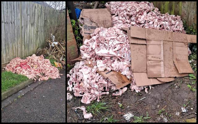 Rotting meat found in Luton. Picture: Christine Williams