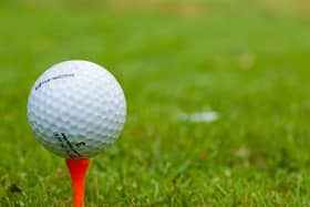 File photo of a golf tee (Pic: kenny/Pixabay)