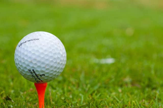 File photo of a golf tee (Pic: kenny/Pixabay)