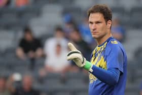 Asmir Begovic in action for Everton