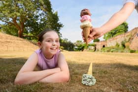 Throughout August, any dropped ice creams at Wrest Park will be swiftly replaced (Picture: English Heritage)