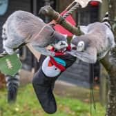 The inquisitive lemurs get stuck into their stockings