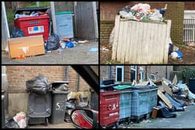 Images of rubbish around South Luton. Picture: June Burley