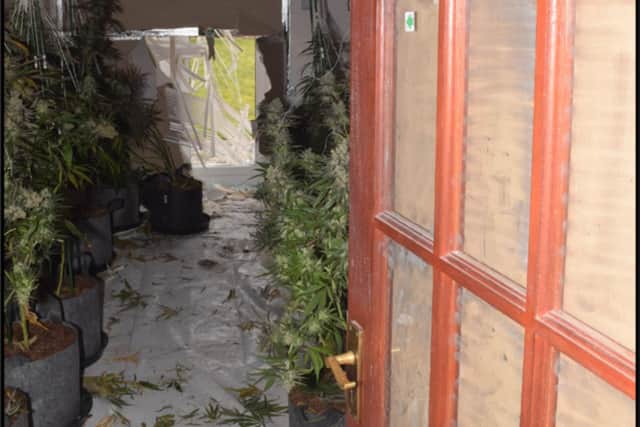 The break-in at the cannabis factory